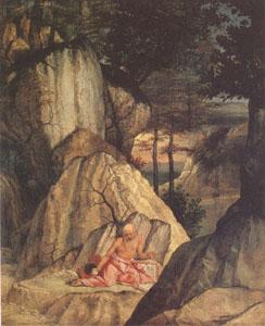 Lorenzo Lotto Jerome in the Desert (mk05) Norge oil painting art